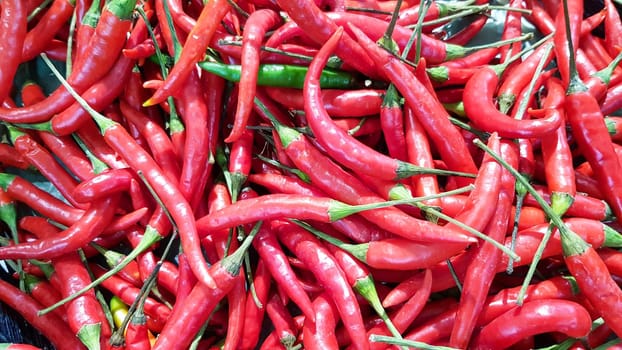 A large number of red peppers are placed on the shelf.
