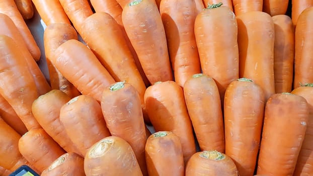 A number of carrots were placed on the shelf for sale.
