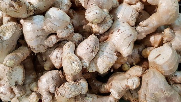A large amount of ginger is placed for sale on the shelves in department stores.