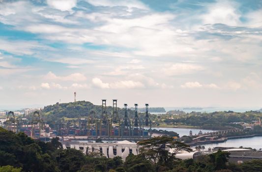 The huge busiest logistic port in Singapore, plenty of cranes to move containers, huge cargo ships in the background, skyscrapers on background. High quality photo