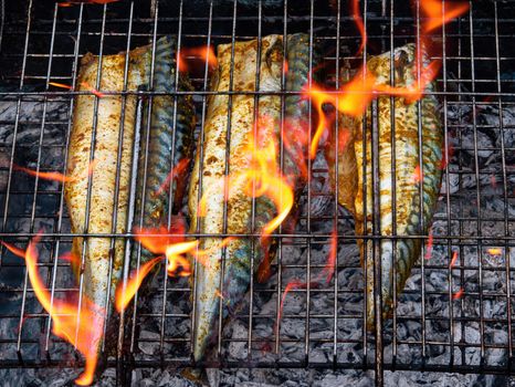 Mackerel fish is baked on a metal grill in a flame of fire. Mackerel fish. Barbecue cooking. Grill metal grate. The flame of a bonfire fire. Seafood food. Fishing trophy. Fisherman's cuisine.