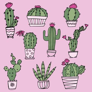 cactus seamless pattern. illustration on a pink background
