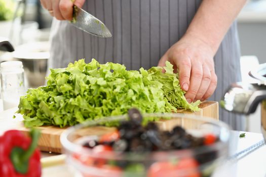 Close-up of chef hands cutting green fresh lettuce ingredient, person chopping greens with sharp knife on wooden cutting board. Healthy culinary concept