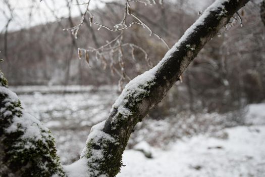 Winter trees in mountains covered with fresh snow. Beautiful landscape with branches of trees covered in snow. Mountain road in Caucasus. Azerbaijan