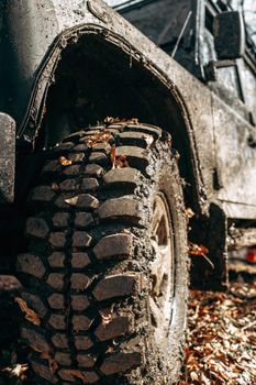 Wheel of offroad car in a muddy roadn forest close up
