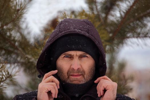 A man holds a hood with his hands on a blurred background of fir branches. Portrait of a handsome man with a beard in a black hat and hood looks at the camera.