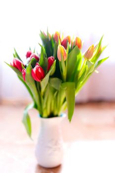 Lovely tulips bunch, floral border. Layout for springtime holidays. Mother day greeting card