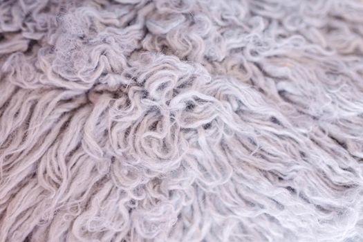 flokati background. sheepskin fur. natural wool.