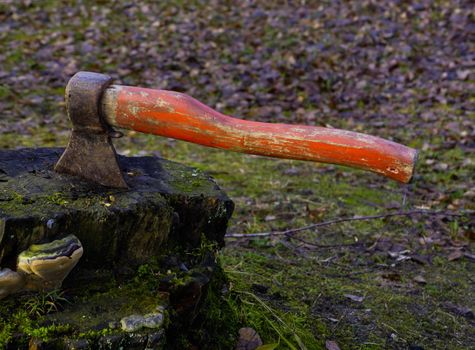 An old red axe with a red handle stuck in a stump.
