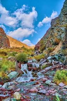 River in the mountains. A small watercourse in the highland. Happy international mountain day.