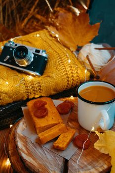 Autumn holiday composition for postcards, invitations and posters. Pumpkin juice, freshly baked cake, fall leaves, knitwear, vintage camera and lights from garlands. Log of a tree as a tray.
