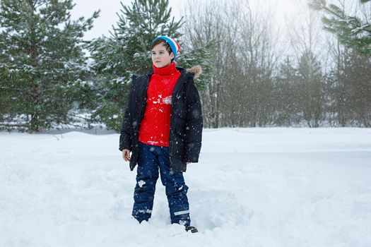 A cute teenager boy in a dark jacket, hat and a red sweater stands in a winter park on the snow
