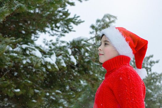 Portrait of teenager in a red sweater and a red santa claus hat stands in the winter in the park, near pine trees in the snow. Copy space