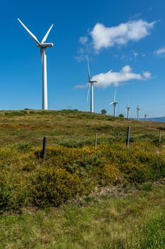 View of wind turbines energy production near the Atlantic Ocean in Galicia, Spain.