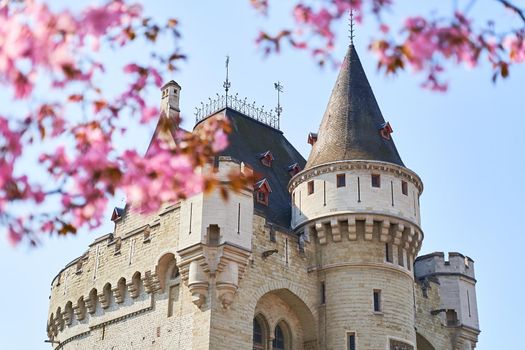 View of the Halle Gate, medieval fortified city gate, through blooming trees.