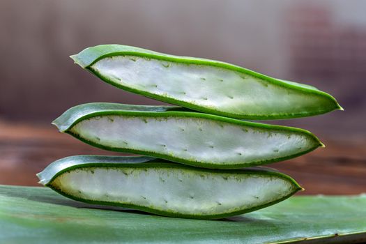 Pieces of the plant sliced in close-up letting the gel appear in transparency