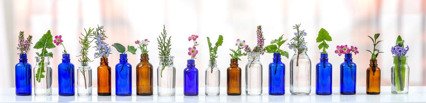 Panoramic bottles of different colors containing flowers and medicinal plants