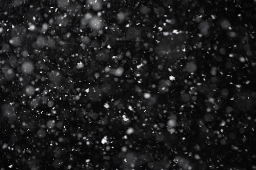 Snowfall on black background. Snowfall in the night sky, real snowflakes fall in the night.