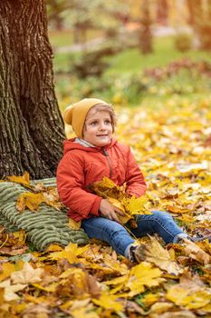 Cute little blond baby boy having fun outdoors in the park in autumn time sitting in the leaves under a tree in an autumn warm red color jacket and a cute hat.