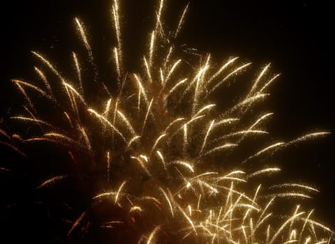 Golden fireworks of various colors over night sky, Real Fireworks on Deep Black Background Sky on Fireworks festival show before independence day on 4 of July. Beautiful fireworks show.