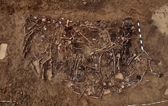 Top view of human remains in the ground. War crime scene. Site of a mass shooting of people. Human remains (bones of skeleton, skulls). Human remains of victims of the Nazis.