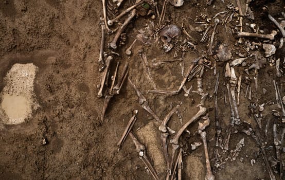 Top view of human remains in the ground. War crime scene. Site of a mass shooting of people. Human remains (bones of skeleton, skulls). Human remains of victims of the Nazis.