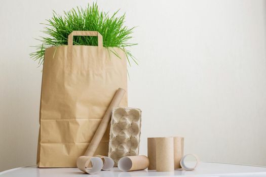A paper bag with juicy green grass stands on a white table. Household waste rollers made of cardboard and paper lie nearby. The concept of recycling and environmental protection. Copy space
