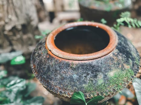Big earthen jar, Water bowl or jar made from clay covered with moss naturally occurring in a moist and shady atmosphere put decorations in the garden