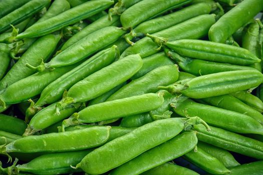 Fresh green pods or peas rotating. Peas background. Top view.