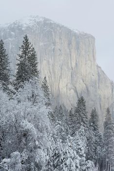 el capitan at yosemite in winter