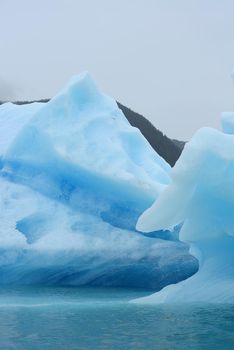 blue iceberg floats in southeast alaska