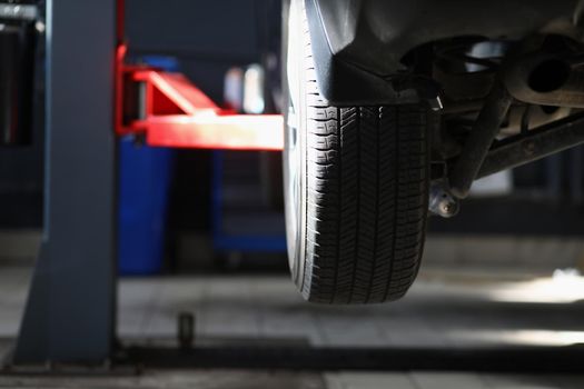 Close-up of automobile tire, part of automobile in service center, lifted car in air. Car maintenance garage to change snow tire. Transport service concept