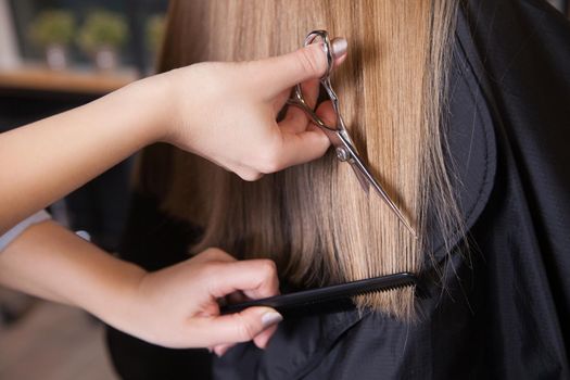 Hairdresser cut blond hair of a woman. Close-up.