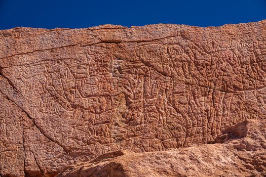 Details of Petroglyphs at Yerbas Buenas boulders, Atacama, Chile