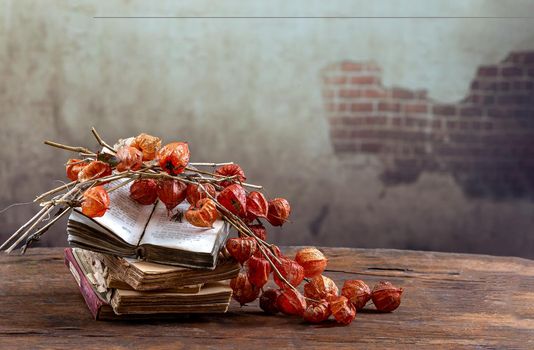 Articles stacked on an old board, covered with dried plants