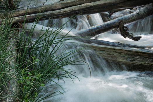 Running wilderness smooth stream babbles