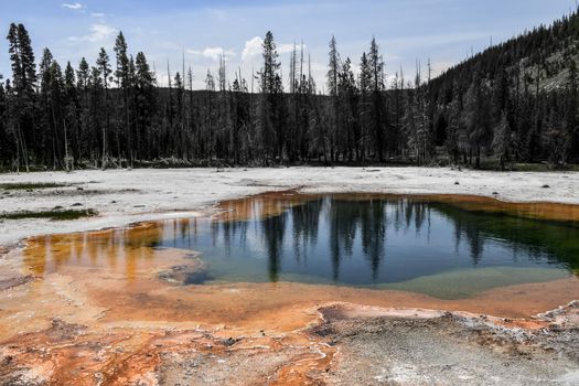 Orange Blue Yellowstone