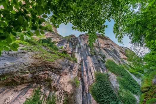 Bottom view of waterfall on huge wall surrounded by trees