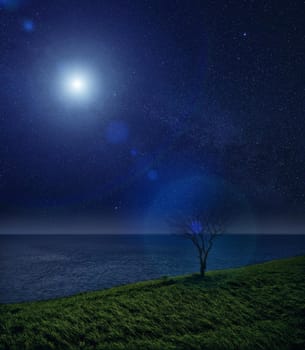 Lonely tree and Glow in the night sky. night landscape.