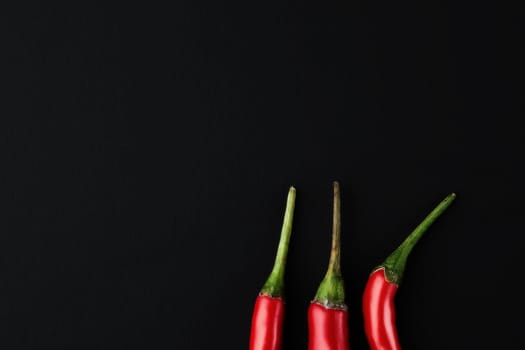 Red hot chili pepper on black background. Seasoning for real men. Fire seasoning.