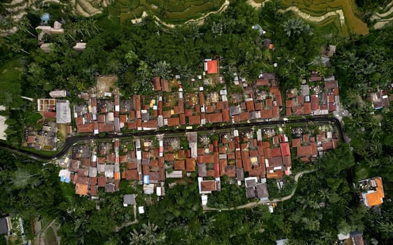 Aerial view of Rice terraces. rice field, geometry of agriculture. Bali, Indonesia