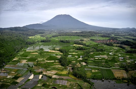 Aerial view of Rice fields and villages, near mount Agung. Bali, Indonesia