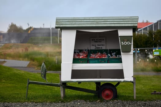 Selling fresh tomatoes. Self-service kiosk. Iceland, September 2018