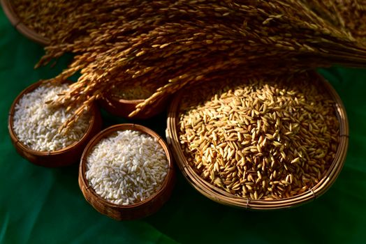 The grain in the wooden basket was placed paddy rice and rice on a green cloth background. Ideas for agriculture. Selective focus. Top view of white rice and paddy in a wooden bowl. Close Up 