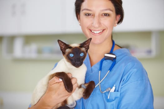 Portrait of a smiling female vet holding a Siamese cat.
