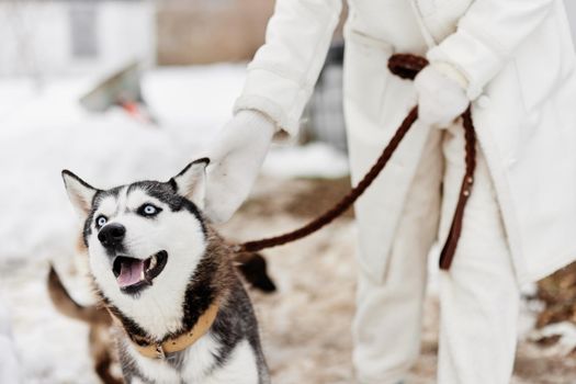 young woman with husky winter landscape walk friendship fresh air. High quality photo