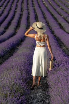 Back view of beautiful girl in a white dress and hat in a lavender field at sunset.