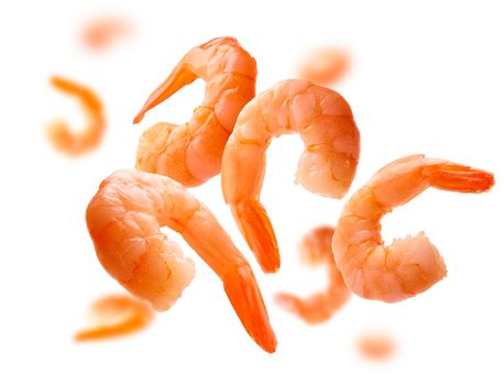 Boiled prawns levitate on a white background.
