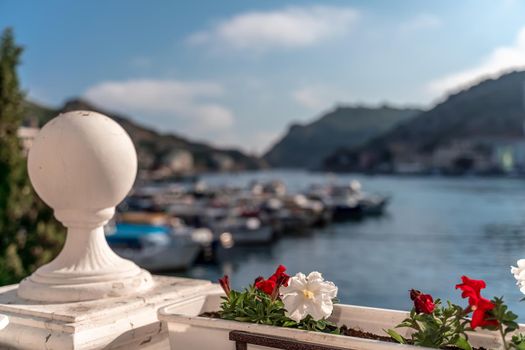 A beautiful view through the bright flowers of petunias to the sea bay with yachts. Turquoise sea against the backdrop of mountains and a clear blue sky