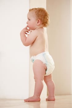 Adorable baby boy standing by himself and looking away.